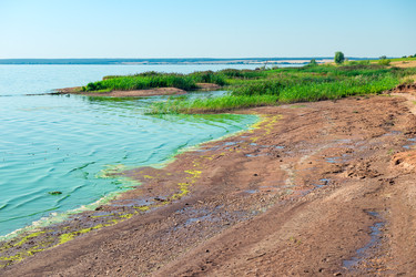 Similar image 22186233