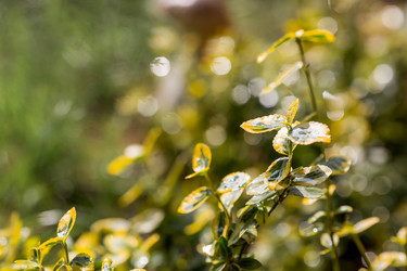 Similar image 22177041