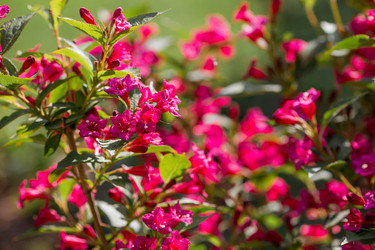 Similar image 22177043