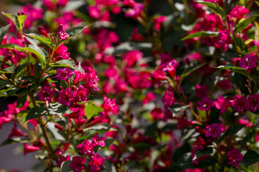 Similar image 22177045