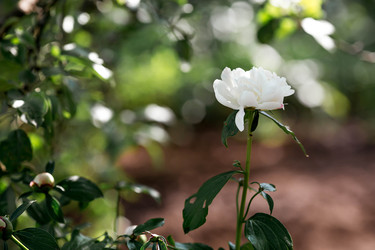 Similar image 22177047