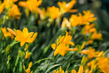 Similar image 22177051