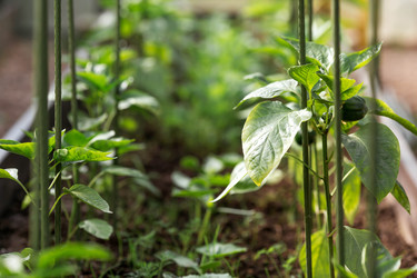 Similar image 22177372