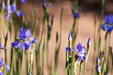 Similar image 22177381