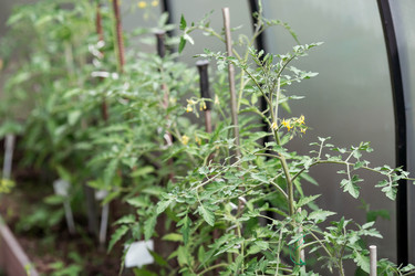 Similar image 22177387