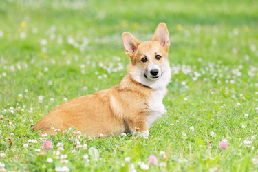 Similar image 22177055