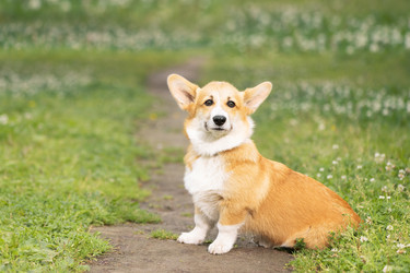 Similar image 22177056