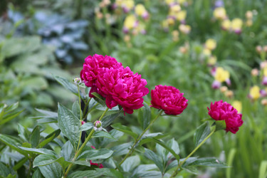 Similar image 22177103