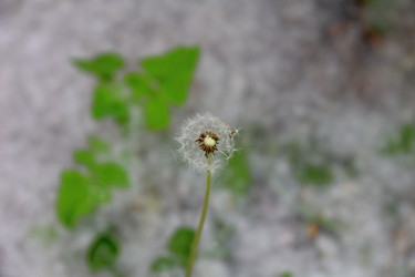 Similar image 22177104