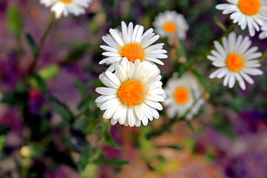 Similar image 22177105