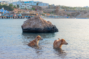 Similar image 22181333