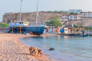 Similar image 22181335