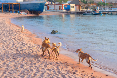 Similar image 22181383