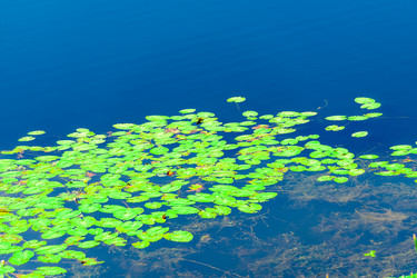 Similar image 22186265