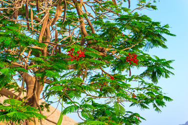 Similar image 22186266