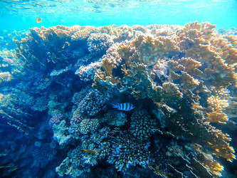 Similar image 22186272