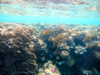 Similar image 22186286