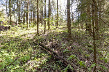 Similar image 22180722