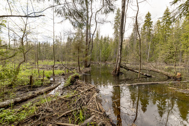 Similar image 22181050