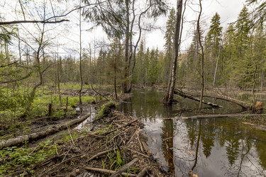 Similar image 22181051