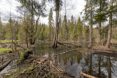 Similar image 22181052