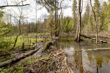 Similar image 22181053