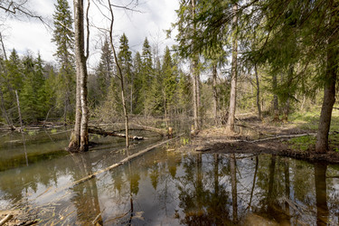 Similar image 22181055