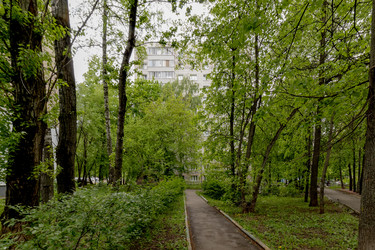 Similar image 22181336