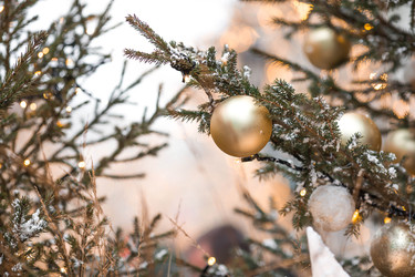 Similar image 22177390