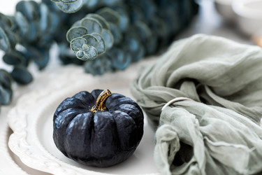 Similar image 22177124