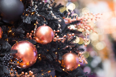 Similar image 22177129