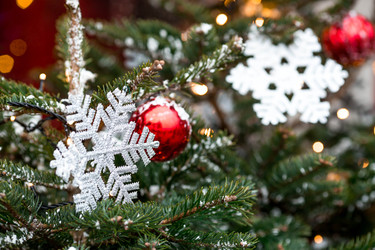 Similar image 22177135