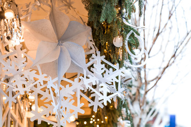 Similar image 22177137