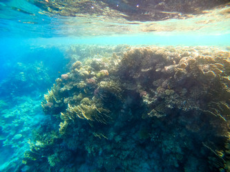 Similar image 22186288