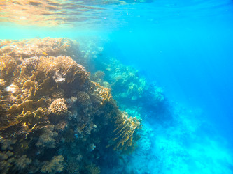 Similar image 22186290