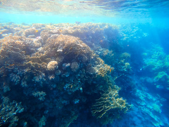 Similar image 22186292