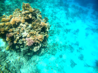 Similar image 22186297