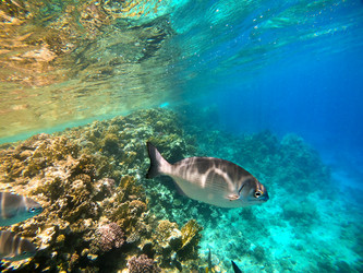 Similar image 22186298