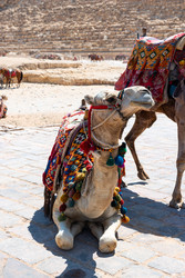 Similar image 22186301