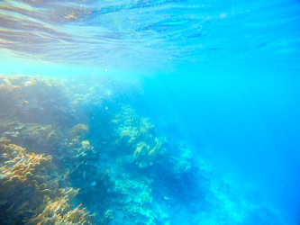 Similar image 22186302