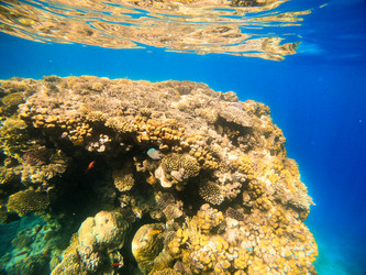 Similar image 22186314