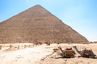 Similar image 22186315