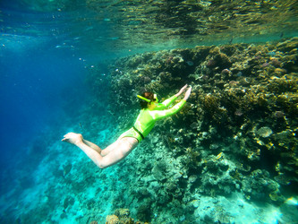 Similar image 22186316