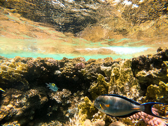 Similar image 22186318