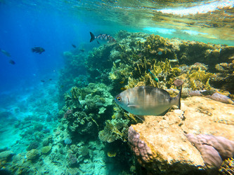 Similar image 22186322