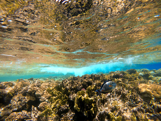 Similar image 22186324