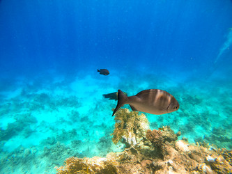 Similar image 22186375