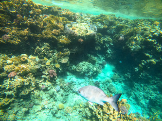 Similar image 22186377