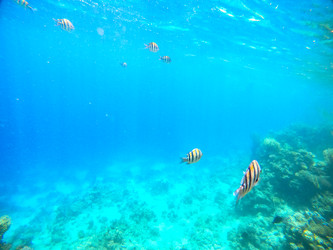 Similar image 22186379