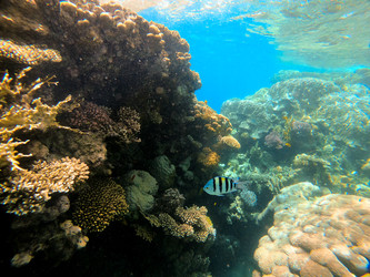 Similar image 22186383